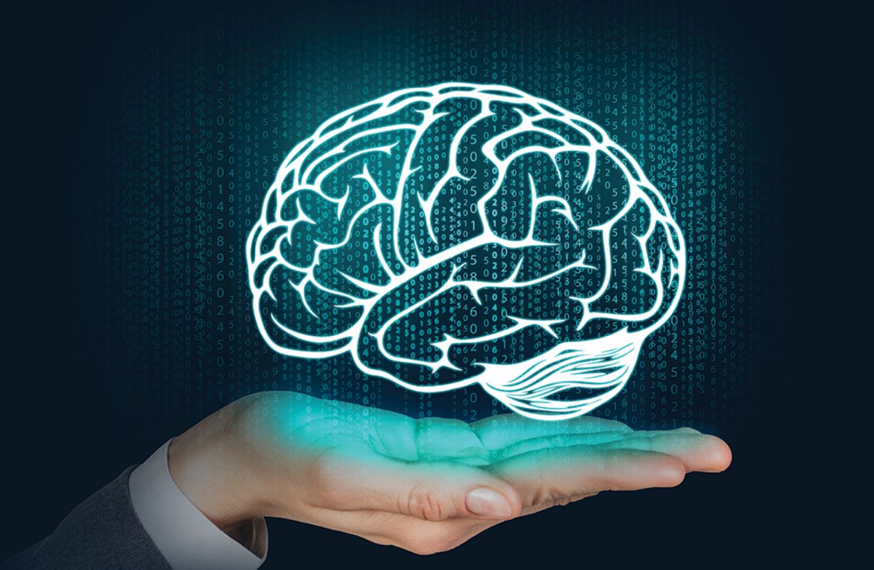 Novos neurônios do cérebro contribuem para a saúde mental. Por Walace Gomes Leal