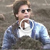 Video Shah Rukh Khan Mengamuk Kena Prank Diserang Biawak Komodo Gergasi...
