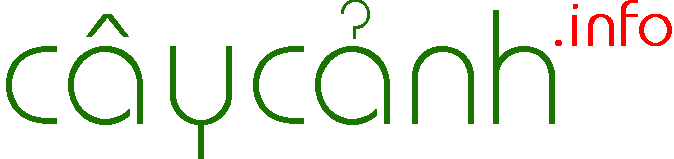 Cẩm nang trồng và chăm sóc cây cảnh | CayCanh.Info
