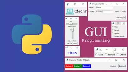 Learn Python GUI Programming Course Download - Premium Point Hub - Free ...
