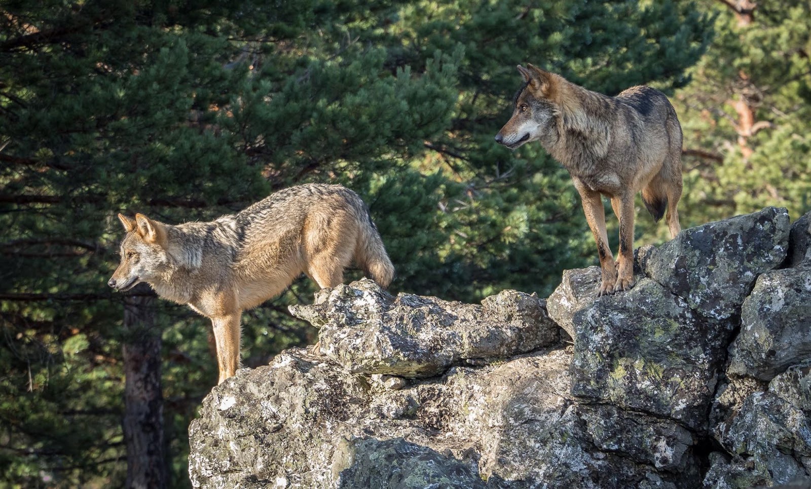 Blog de Sociales 1º ESO PAISAJE