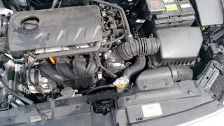 P_20170501_144033_vHDR_Auto.jpg