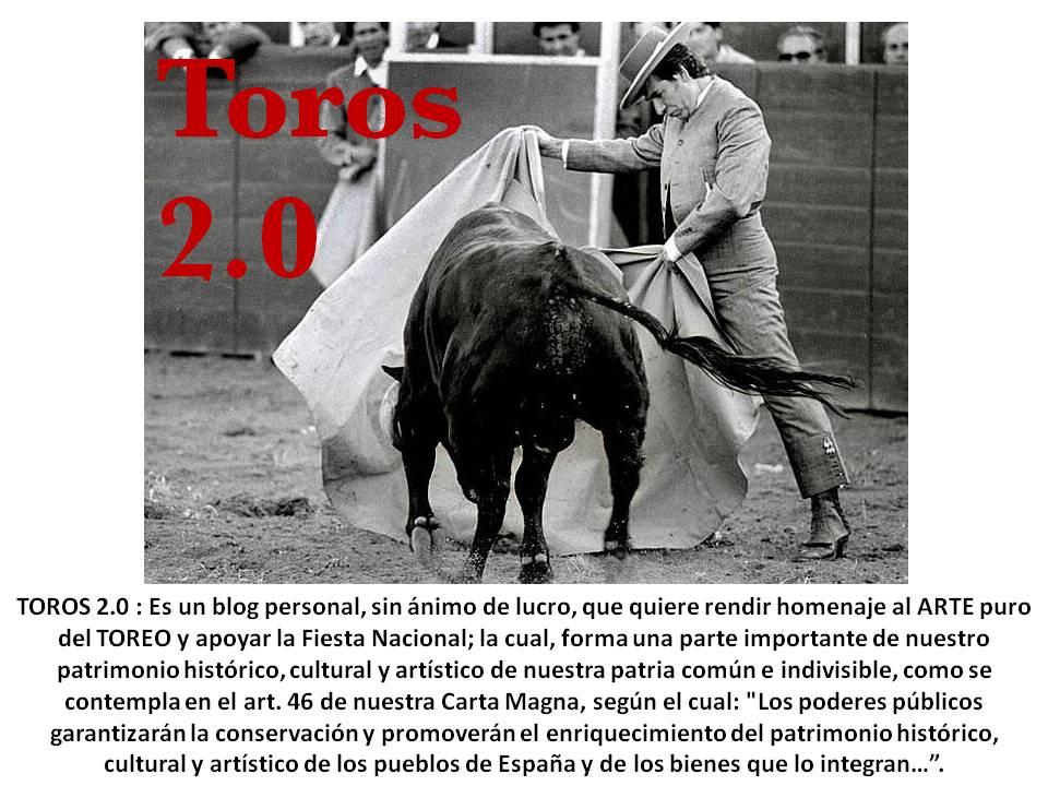 Toros 2.0 