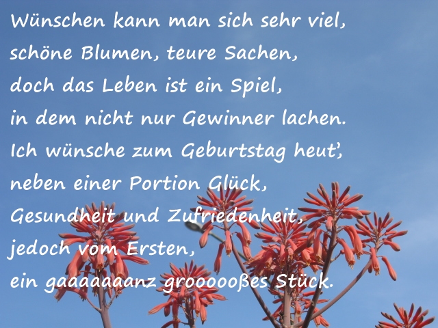Ich wünsche dir alles gute für dein neues lebensjahr