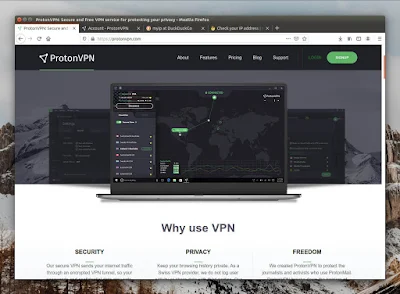 Tampilan Website ProtonVPN