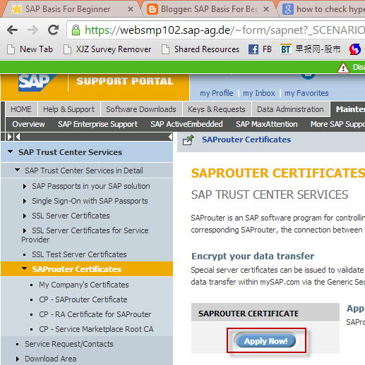 SAP BASIS Crew SAP Router configuration and renew of the SAP router Certificate