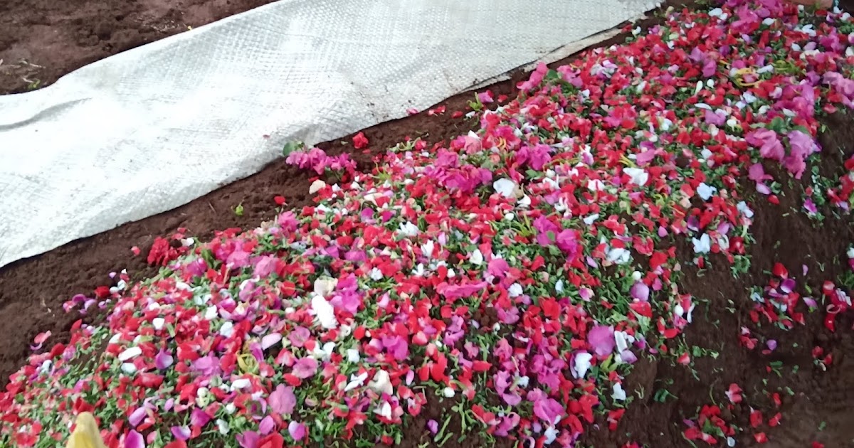 3 Permintaan Ayah Sebelum Meninggal Dunia