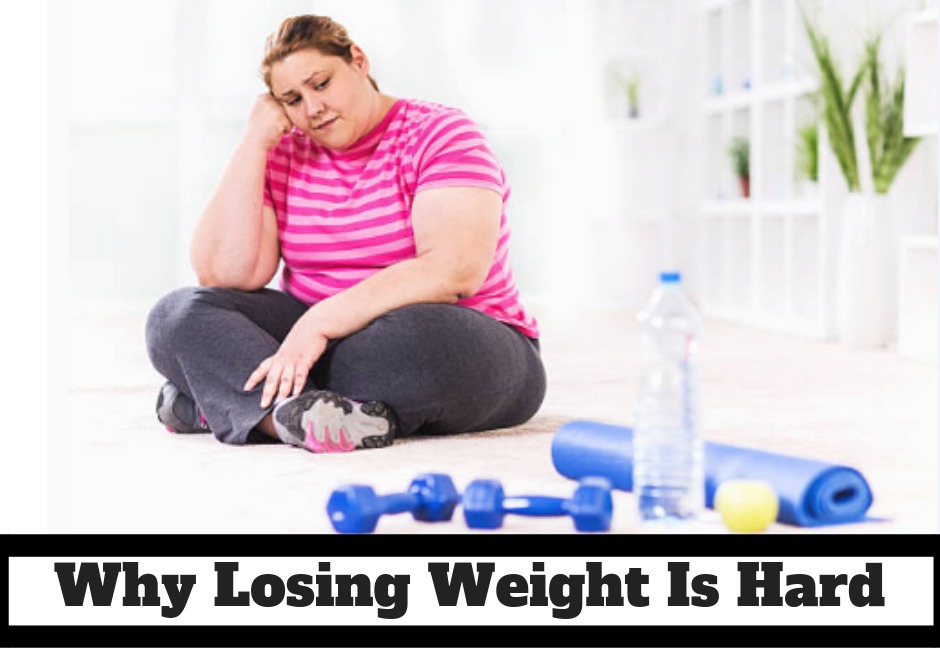 Why Losing Weight Is Hard turnyourlifestyle