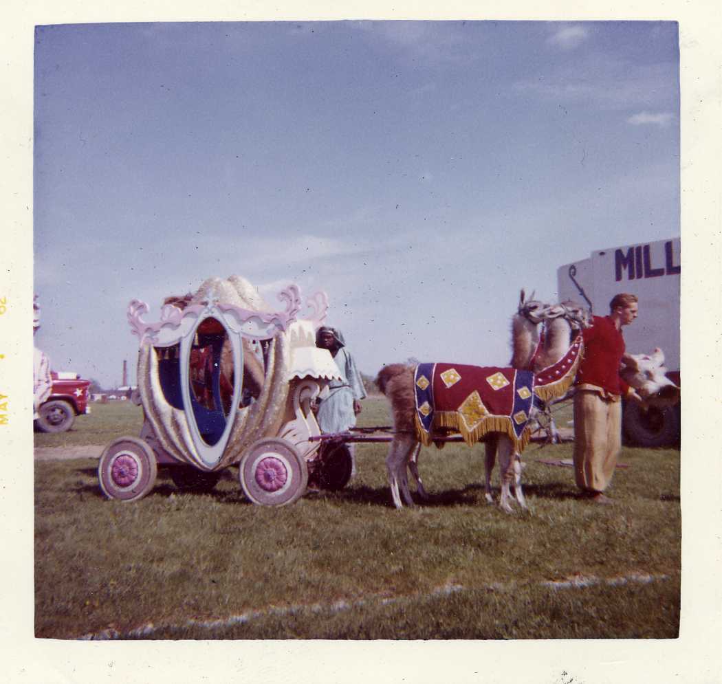 Sawdust and Spangles Mills Bros. Circus Spec