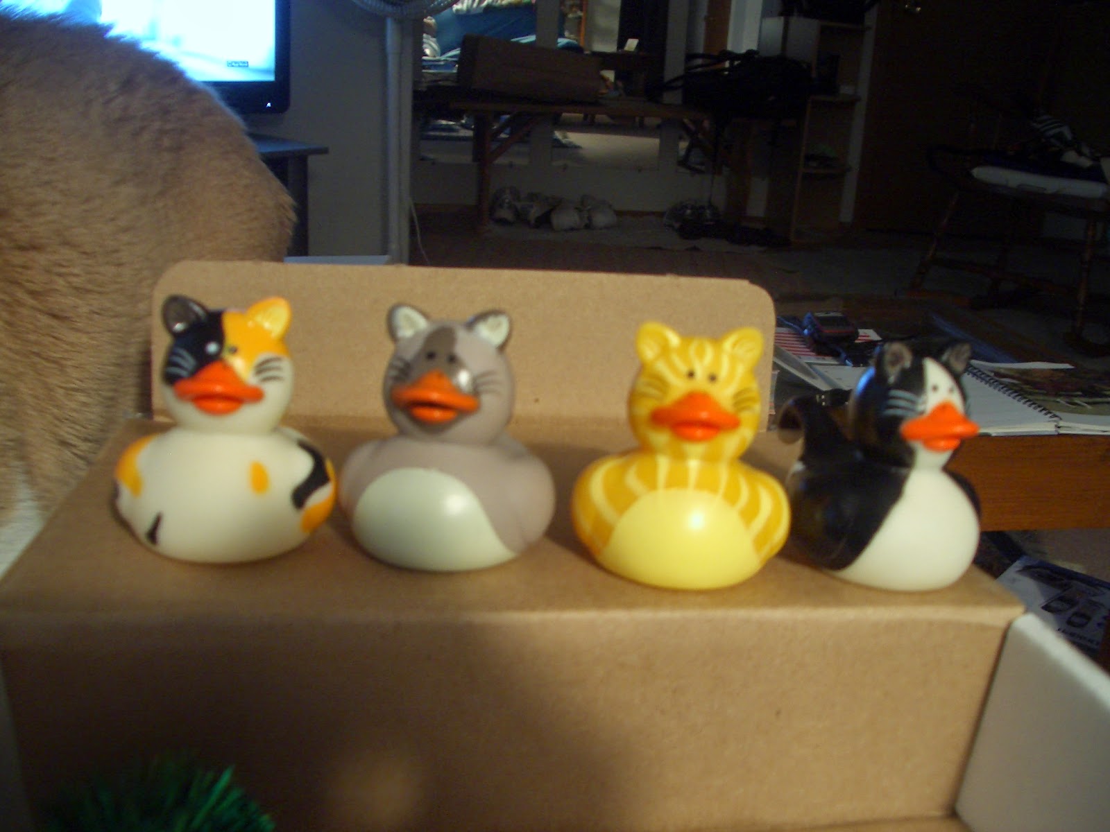 JUST DUCKY! Rubber Ducky Day!