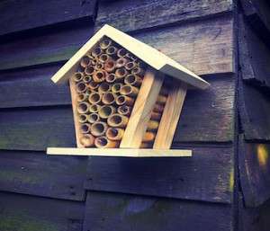 How To Build Bee Hotels To Help Save Native Bees How To Build Bee Hotels To Help Save Native Bees