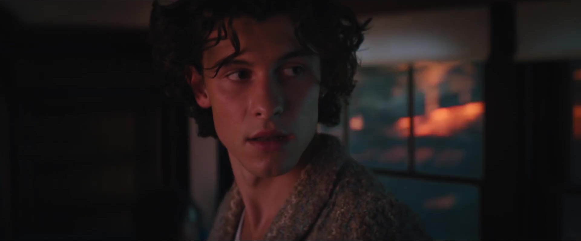 Films Et Séries Tv Avec Shawn Mendes ausCAPS: Shawn Mendes in Wonder music video