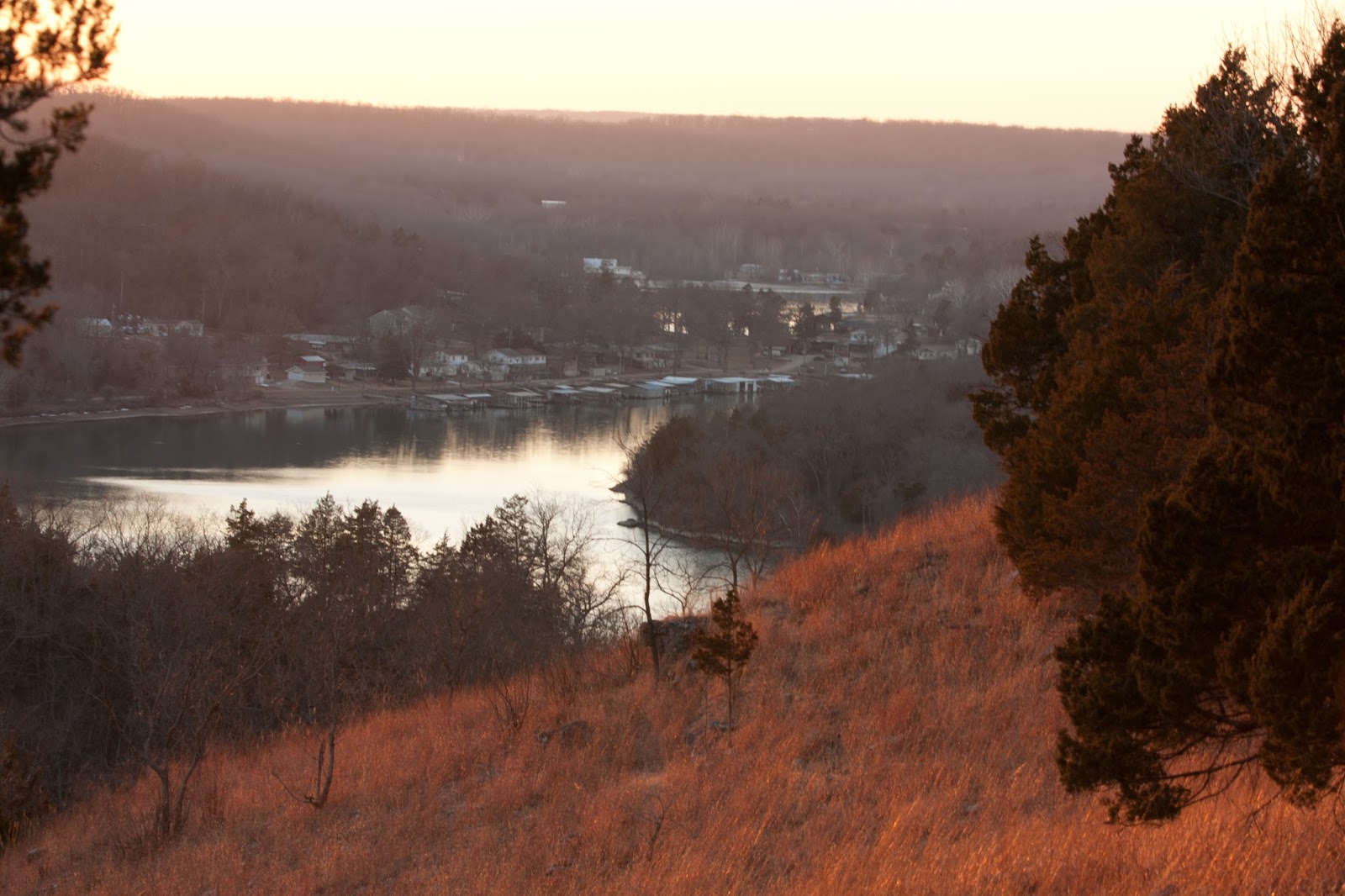 Shady Gators Party Capital of Lake of the Ozarks Planning Your