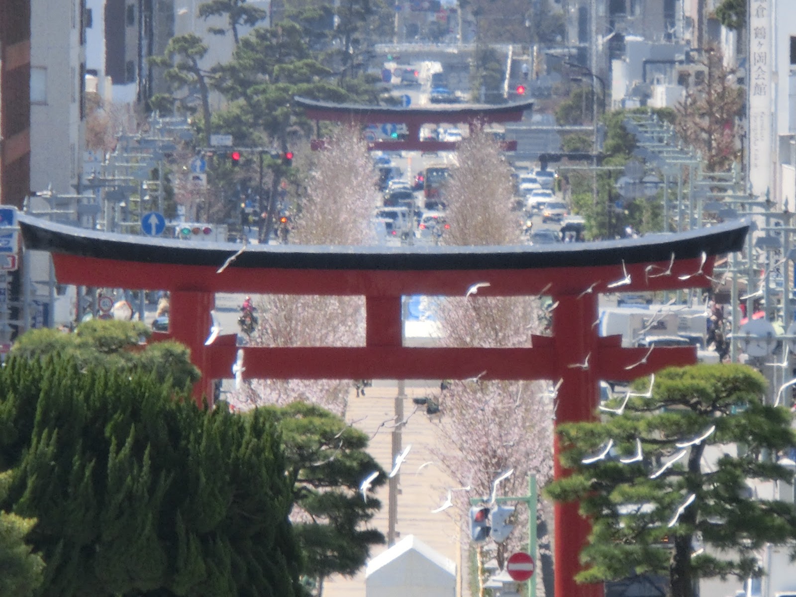 okadoのブログ～yoritomojapan～ 今日は・・・鶴岡八幡宮の参道・段葛の竣功式2016/03/30