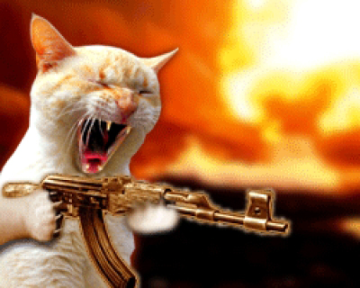 [Image: Cat_machine_gun.jpg]