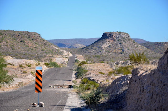 Drive up to San Miguel Comondu and San Jose Comondu. Watch for washouts.