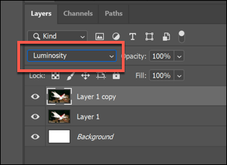 تم ضبط وضع مزيج الطبقة على Luminosity في Photoshop من القائمة المنسدلة في لوحة Layers