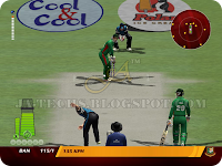EA Cricket 2013 Screenshot 24