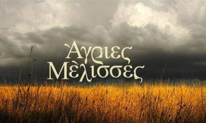 «Άγριες Μέλισσες» : Τι θα δούμε σήμερα