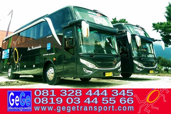 Gege Bus Pariwisata: Mengurai Fenomena dan Tantangan Industri Transportasi Wisata di Indonesia
