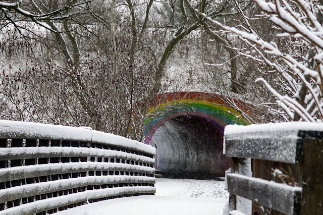 Rainbow tunnel in the Charles Sauriol Conservation Area