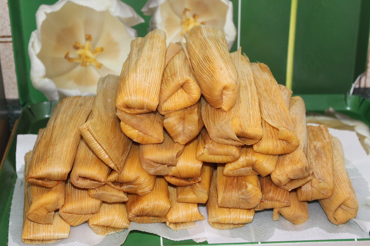 Red Chile Tamale Meat Recipe