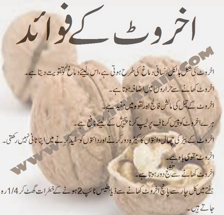 Walnuts Benefits In Urdu