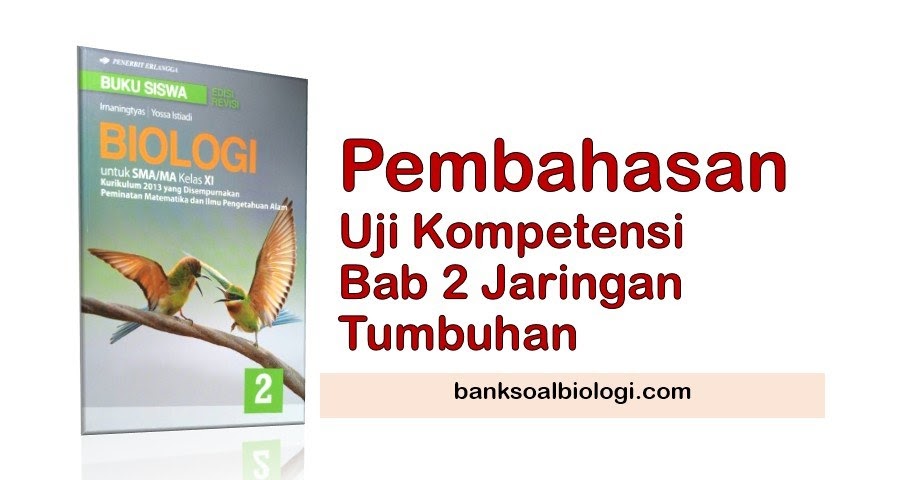 Soal biologi kelas 11 jaringan tumbuhan