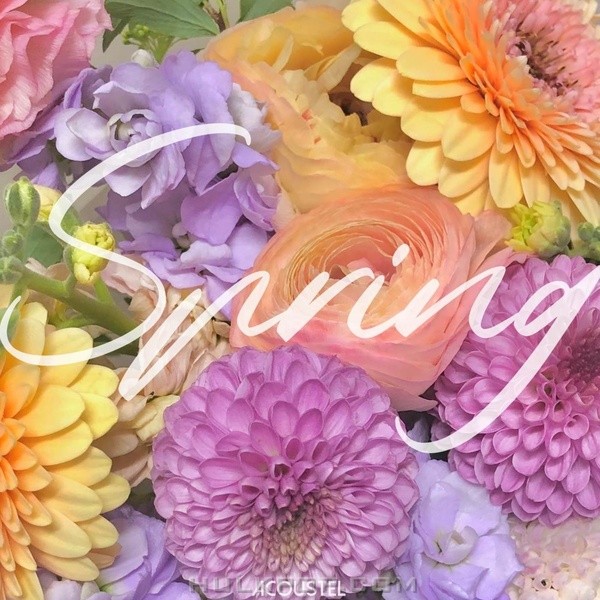 ACOUSTEL – Again, spring – Single