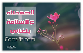 صور الف الحمد لله على السلامة - صور الحمد لله على سلامتك صور الف الحمد لله على السلامة - صور الحمد لله على سلامتك