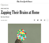 A screenshot of Zapping Their Brains at Home, by Anna Wexler.