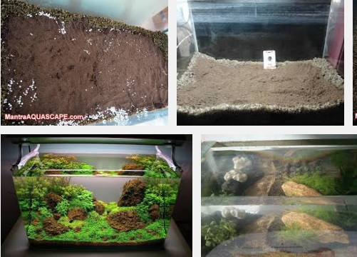 Tips Mudah Cara Membuat Aquascape Pada Aquarium Yang Murah Untuk