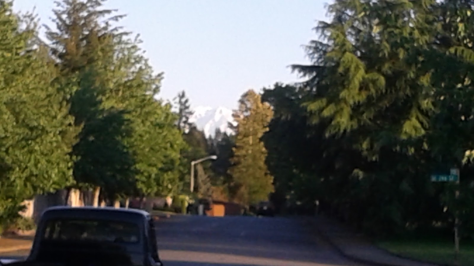 Barers of Maple Valley Mount Rainier From Belmont Woods