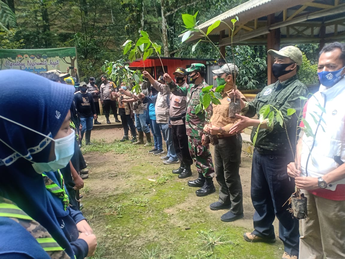 Lang gunung kelambu Gunung Lang