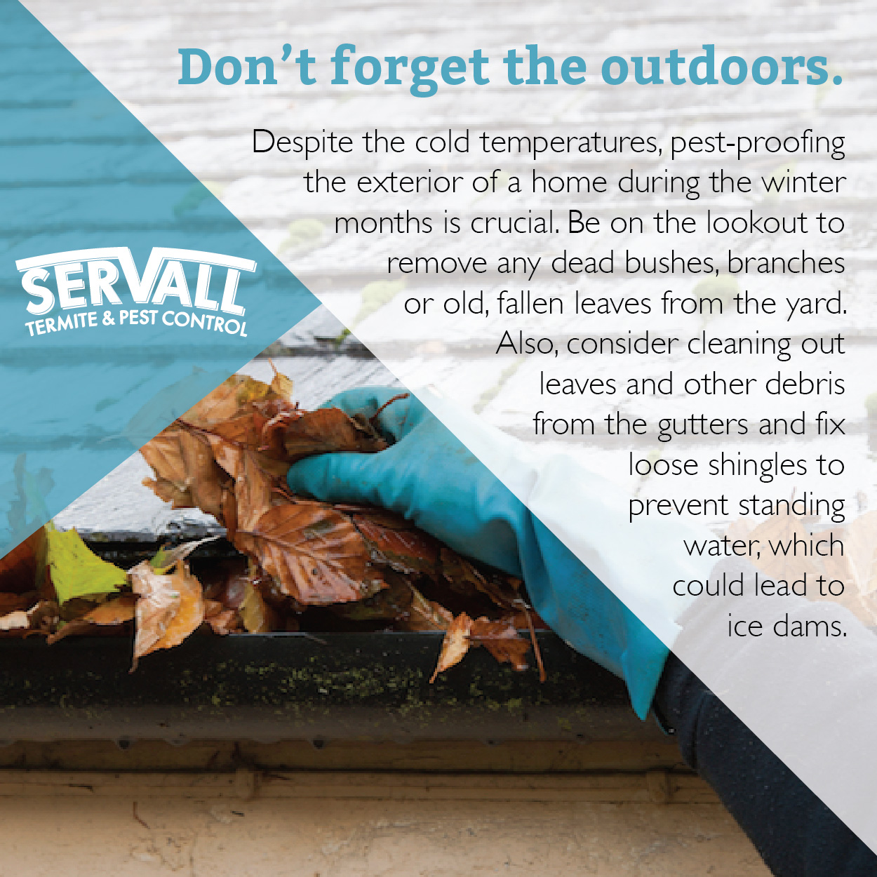 Servall Pest Control February 2017