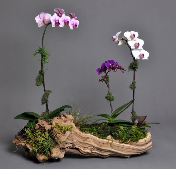 Paixão por orquídeas - Meu orquidário: Inspiração: arranjos para decoração  com orquídeas
