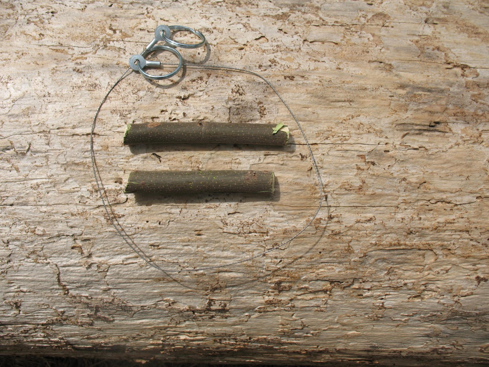 Sensible Survival Make an Improvised Wire Saw for Wilderness Survival?