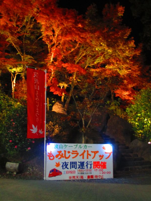 南の春風台日記 筑波山もみじライトアップ開催中