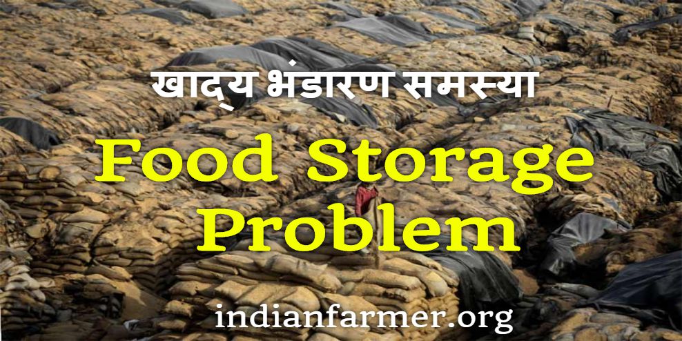 Food Storage Problem