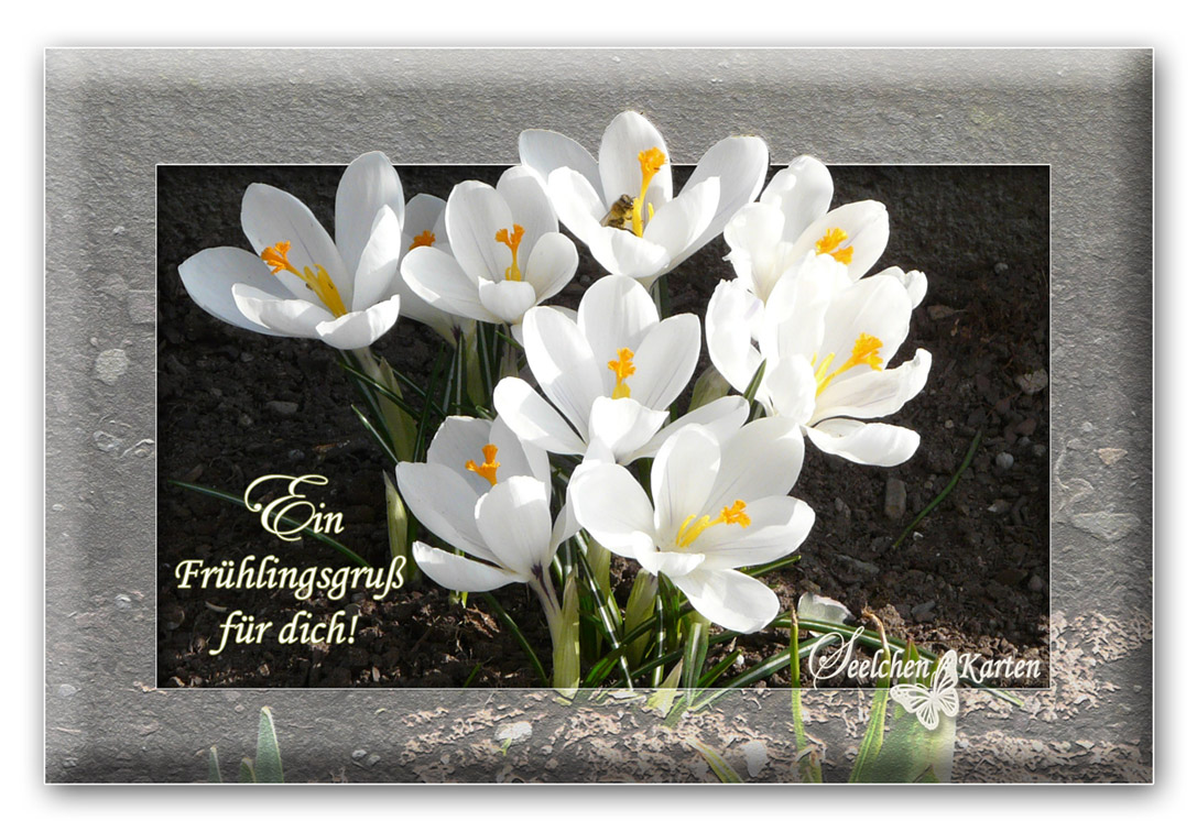 Seelchen Karten und Collagen : Karte Ein Frühlingsgruß für dich! Seelchen Karten und Collagen : Karte Ein Frühlingsgruß für dich!