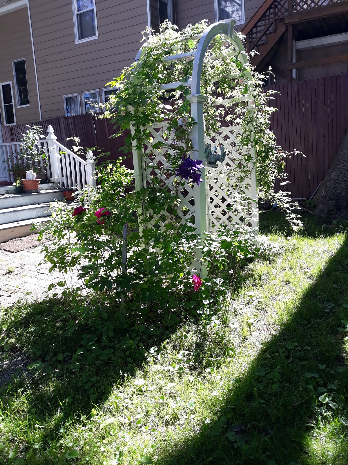 Writing Straight from the Heart Rose Arbor