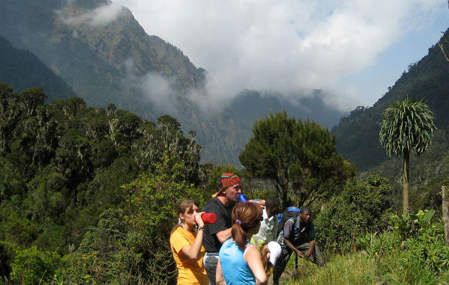 Rwenzori Mountains National Park - Uganda
