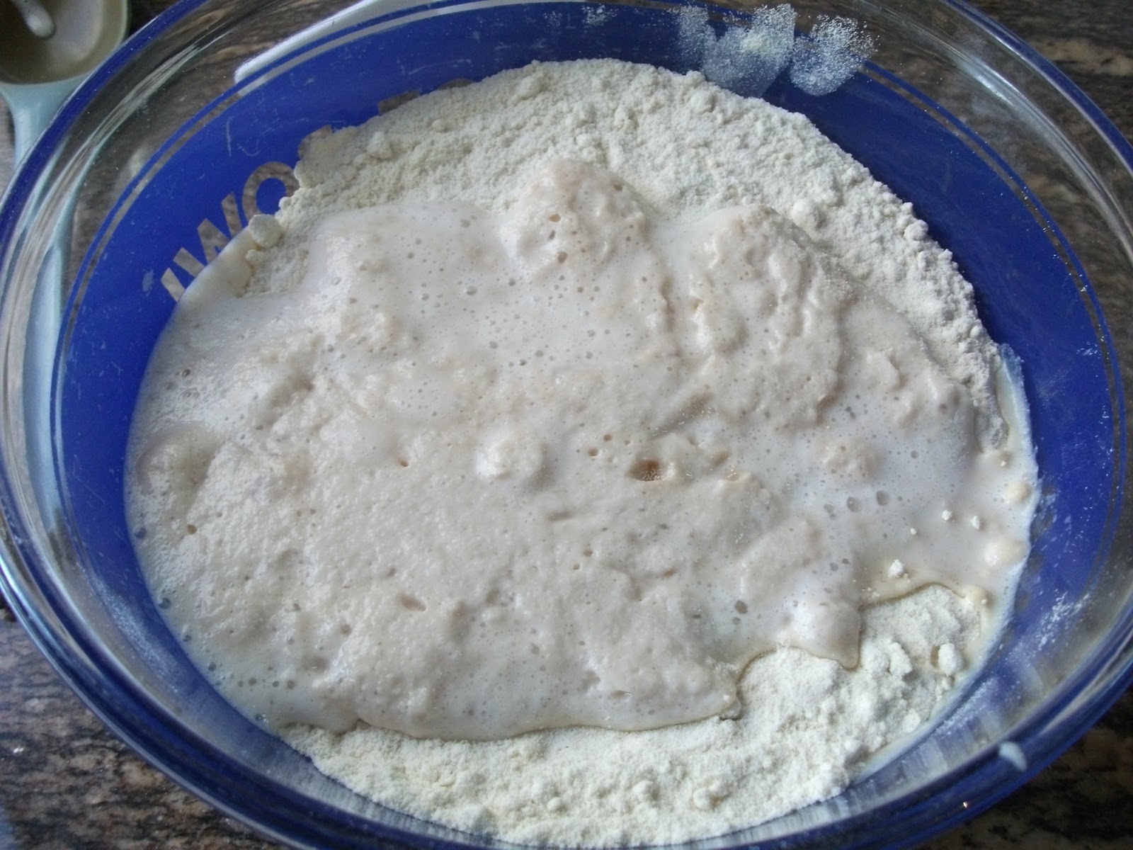 BreadMan Talking Healthy, Healthy Whole Wheat and Soy Artisan Bread