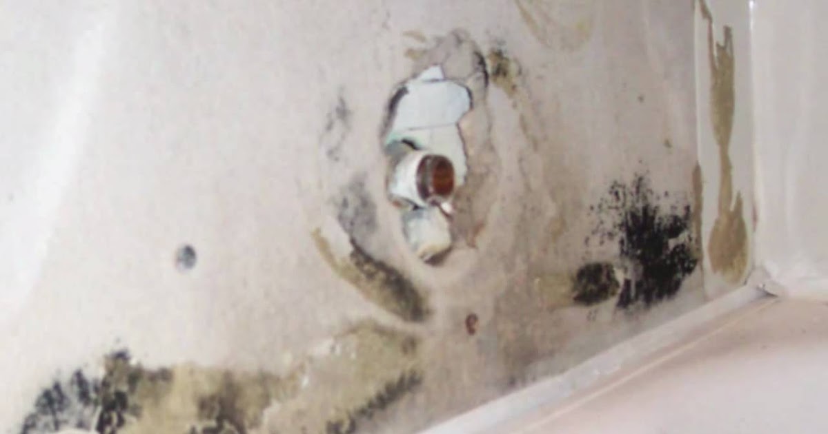 How To Detect And Remove Black Mold In Shower