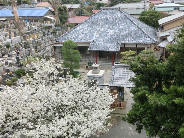 �������R��E�i�F