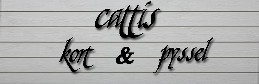 Cattis Kort och Annat