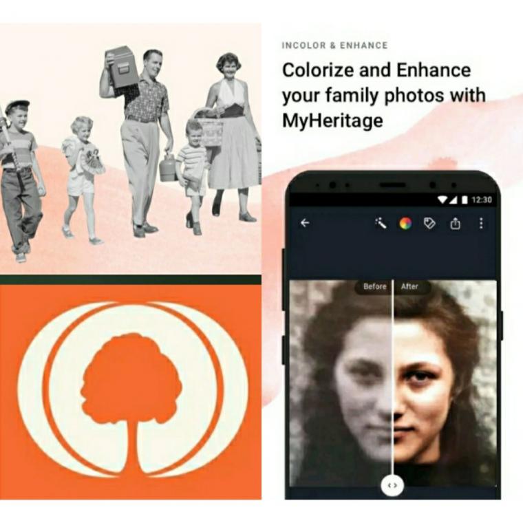 How to Use the My Heritage Viral Application