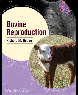 Bovine Reproduction 1st Edition
