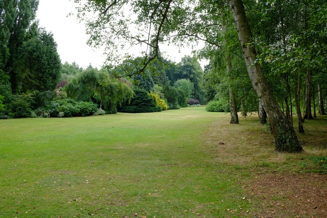 Tricia's Tales Strolling around Anglesey Gardens..