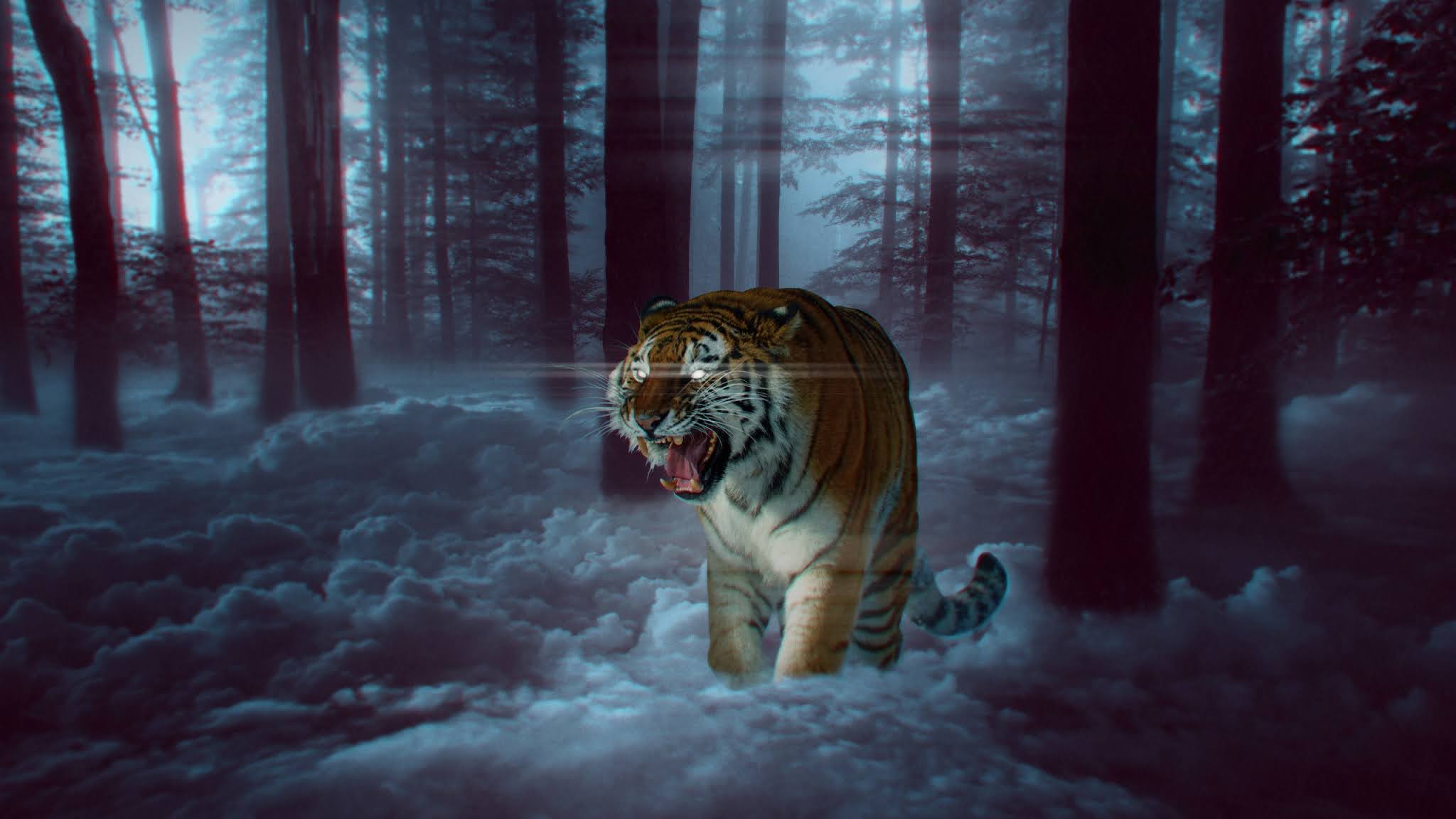 Hình nền  Hình ảnh Tiger Tải xuống